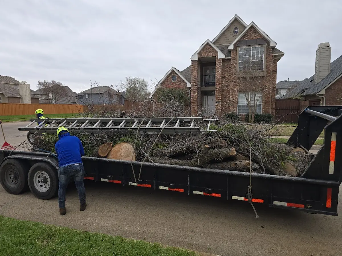 Expert Crown Reduction with proper safety equipment in Cedar Falls